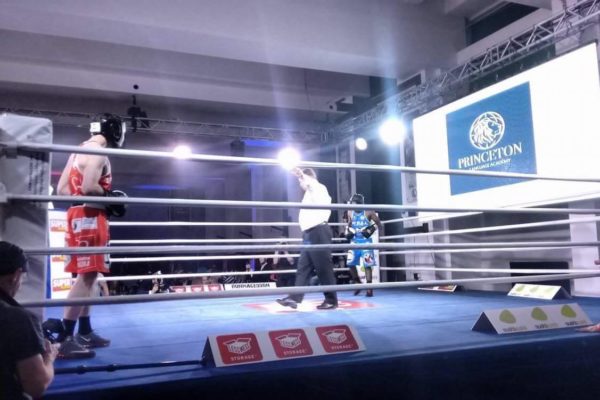 V Gala Boksu Białych Kołnierzyków V Gala Boksu Białych Kołnierzyków
